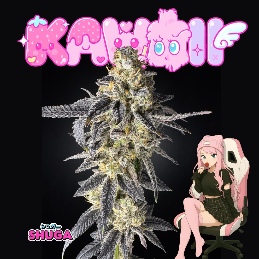 KAWAII